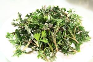 CH 천연 불가리스쑥추출물-P CH Natural Artemisia Vulgaris Extract-P