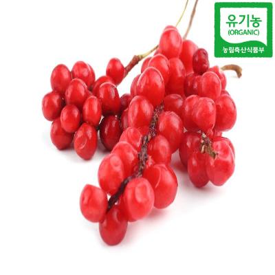 유기농 오미자 - 건조 Organic Schisandra Chinensis Fruit
