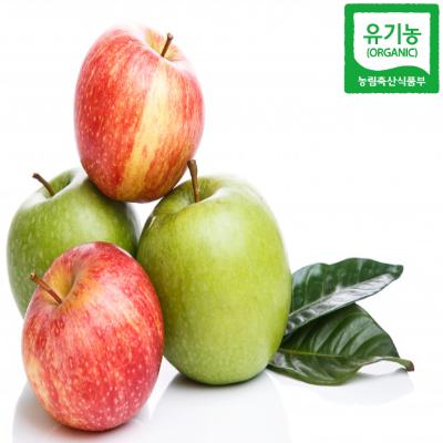 유기농 사과 Organic Pyrus Malus (Apple) Fruit	