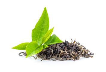 CH 천연 녹차잎추출물 CH Natural Camellia Sinensis Leaf Extract