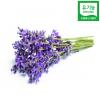 유기농 라벤더 - 건조 Organic Lavandula Angustifolia (Lavender)