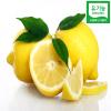  
 Organic Citrus Limon (Lemon) Fruit