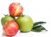 CH  ⹰-G
 CH Organic Pyrus Malus (Apple) Friut Extract-G