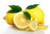 CH 유기농 레몬추출물 CH Organic Lemon Fruit Extract