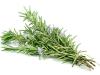 CH 유기농 로즈마리잎추출물 CH Oragnic Rosemary Leaf Extract