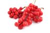 CH õ ⹰
 CH Natural Schisandra Chinensis Fruit Extract
